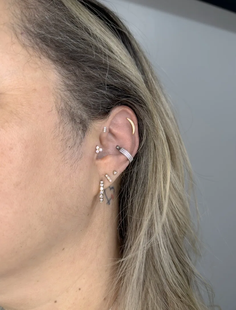 Trabalho realizado, projeto auricular com piercings na orelha